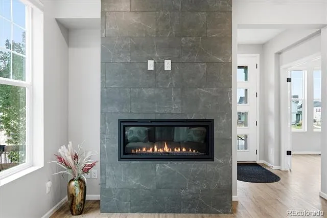 2497 Flats Street Erie, CO 80516
