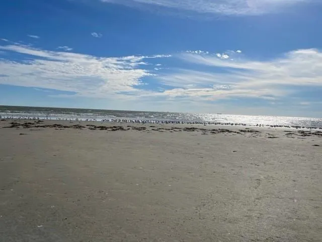 801 E Beach Drive #TW1506 Galveston, TX 77550