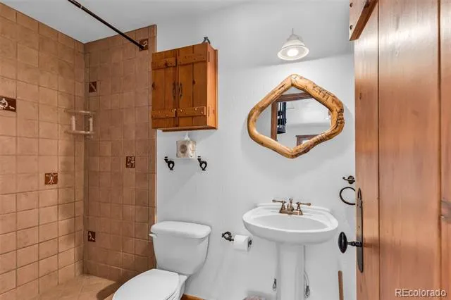 23100 Spirit Mountain Drive Aguilar, CO 81020