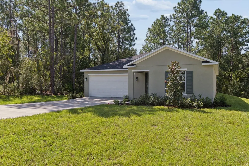 8780 SW 131ST PLACE ocala, FL 34473