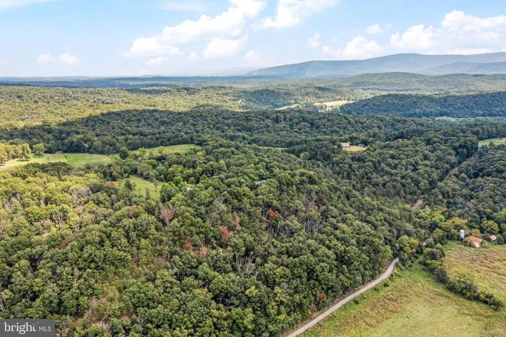 159 DEER HOLLOW LANE Bentonville, VA 22610