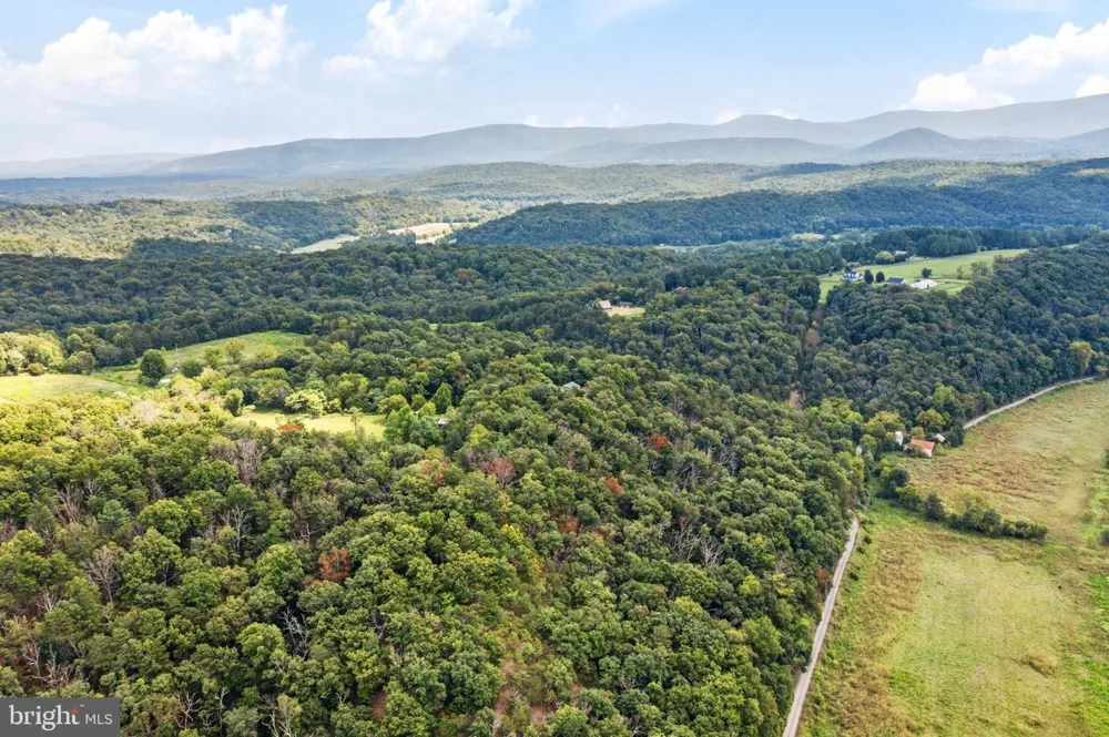 159 DEER HOLLOW LANE Bentonville, VA 22610