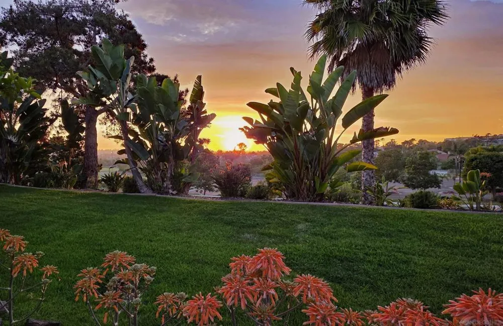 3520 Sitio Baya Carlsbad, CA 92009