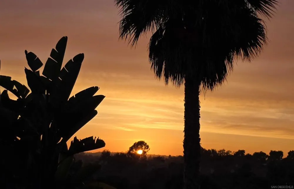 3520 Sitio Baya Carlsbad, CA 92009