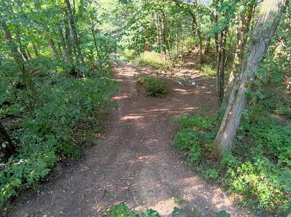 5773 M 66 East Leroy, MI 49051