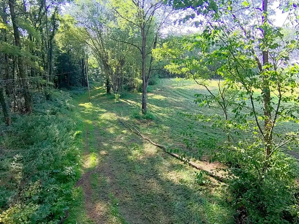 5773 M 66 East Leroy, MI 49051