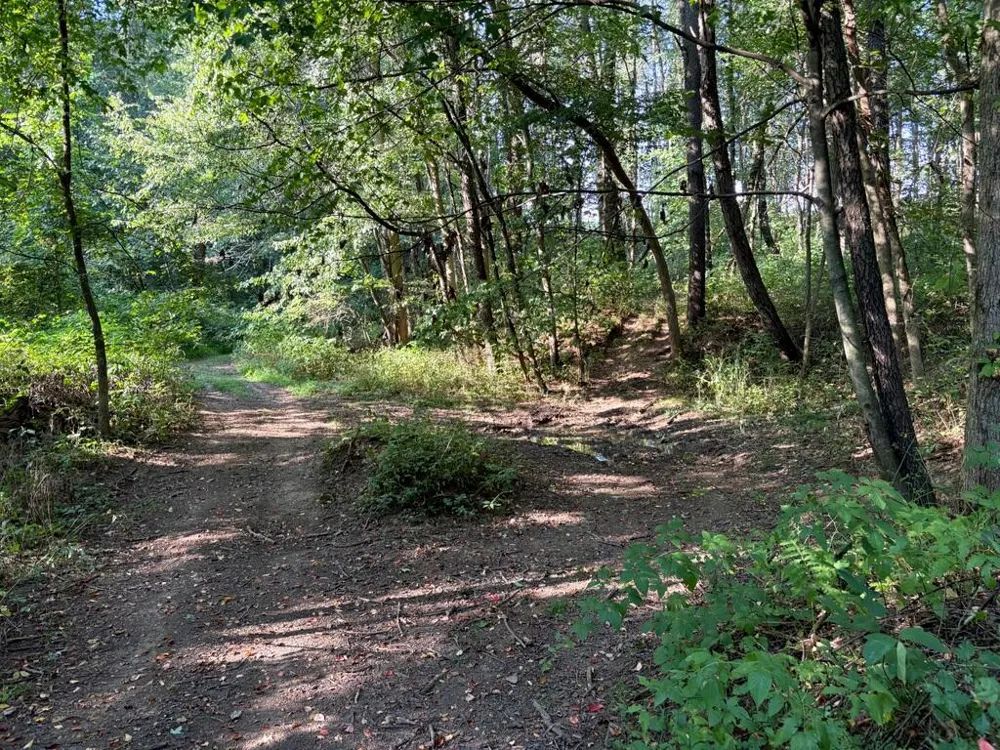 5773 M 66 East Leroy, MI 49051