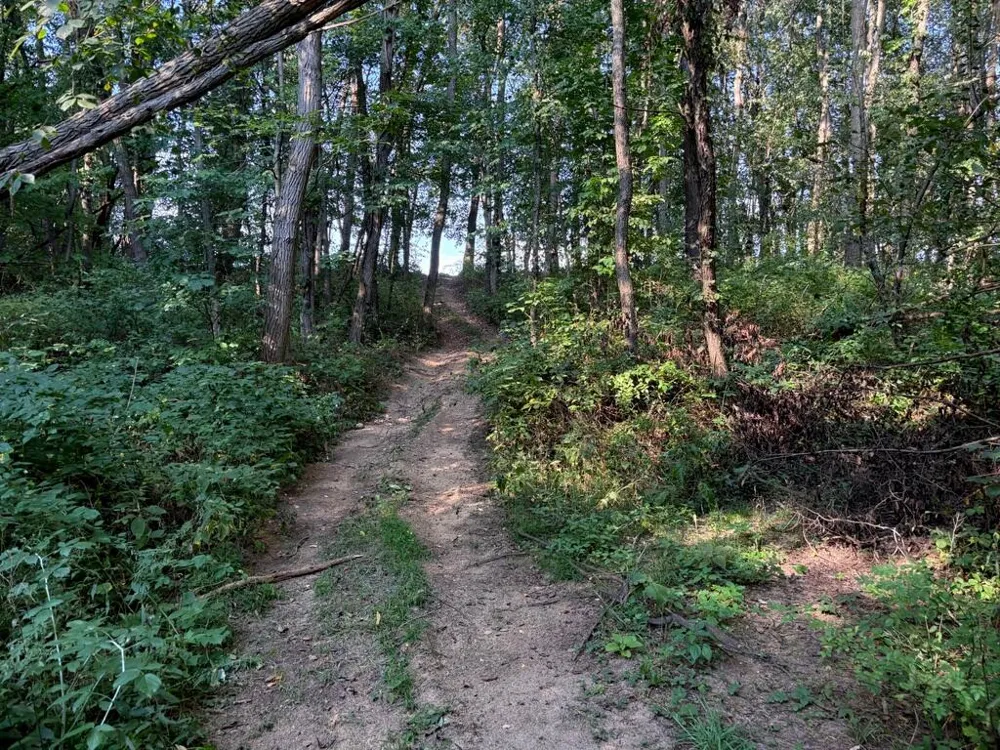 5773 M 66 East Leroy, MI 49051