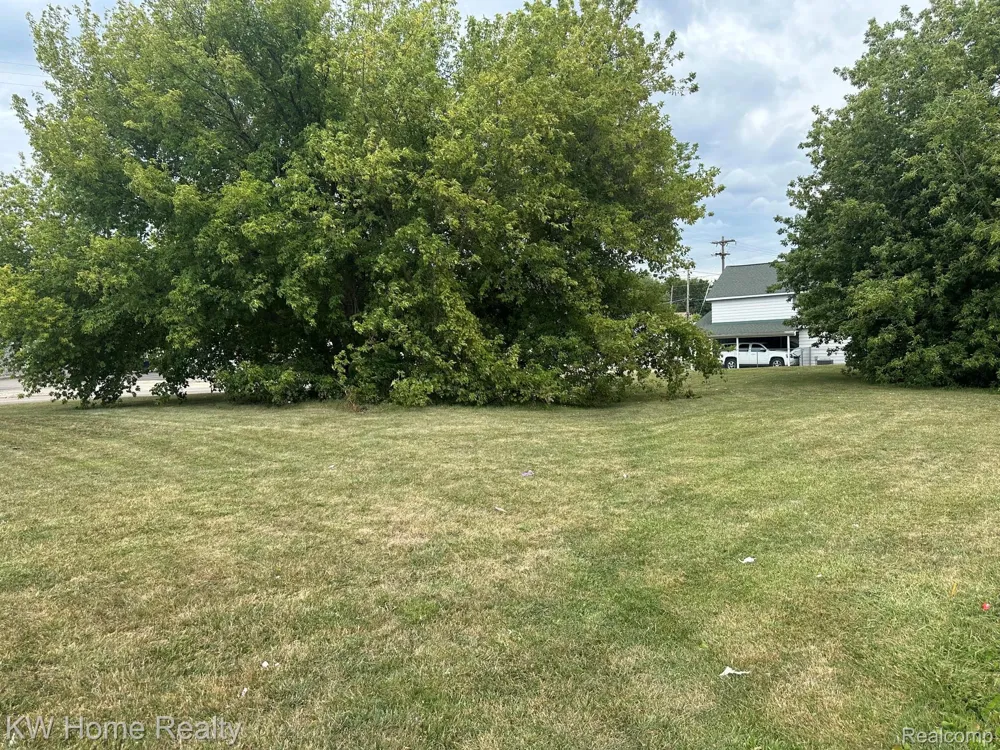 11916 Saginaw Street Mt Morris City, MI 48458