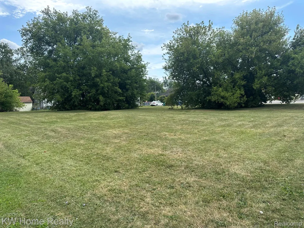 11916 Saginaw Street Mt Morris City, MI 48458