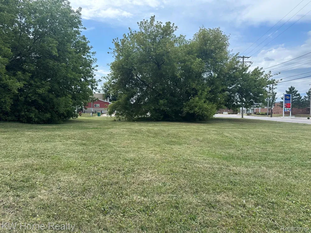 11916 Saginaw Street Mt Morris City, MI 48458