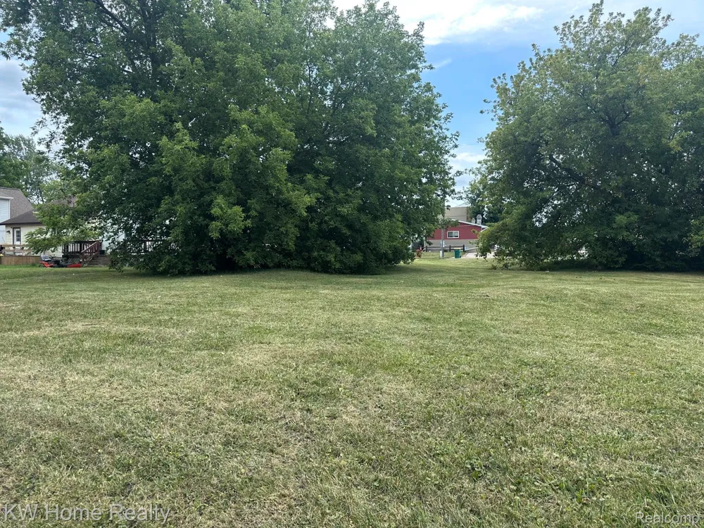 11916 Saginaw Street Mt Morris City, MI 48458