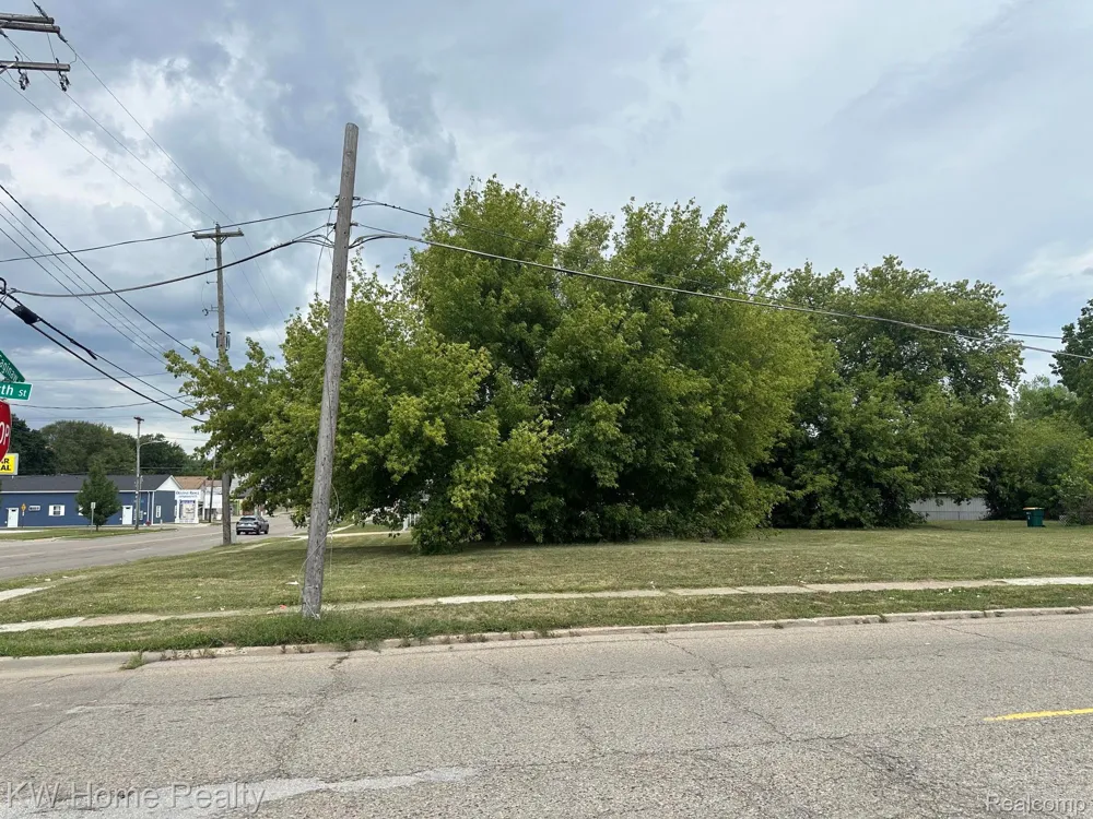 11916 Saginaw Street Mt Morris City, MI 48458