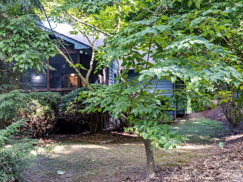 31 Hillcreek Drive Asheville, NC 28804
