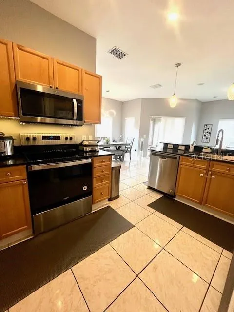 10802 CELTIC WOODS AVENUE Tampa, FL 33647