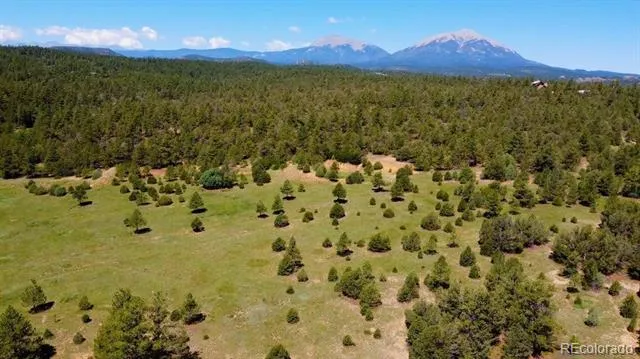 21270 Spirit Mountain Drive Aguilar, CO 81020