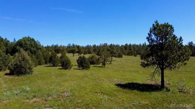 21270 Spirit Mountain Drive Aguilar, CO 81020