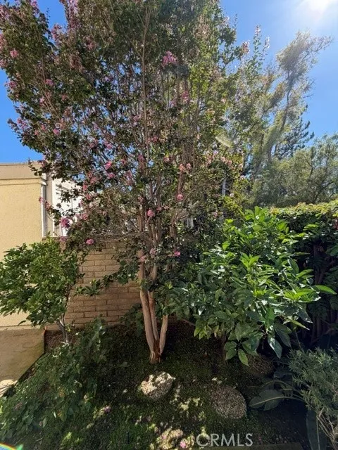 6 Willow Tree Lane Irvine, CA 92612