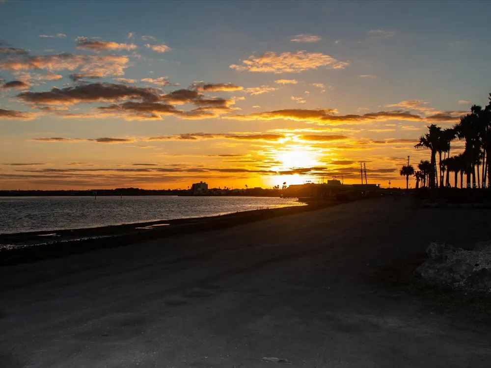 1690 PINEHURST ROAD Dunedin, FL 34698