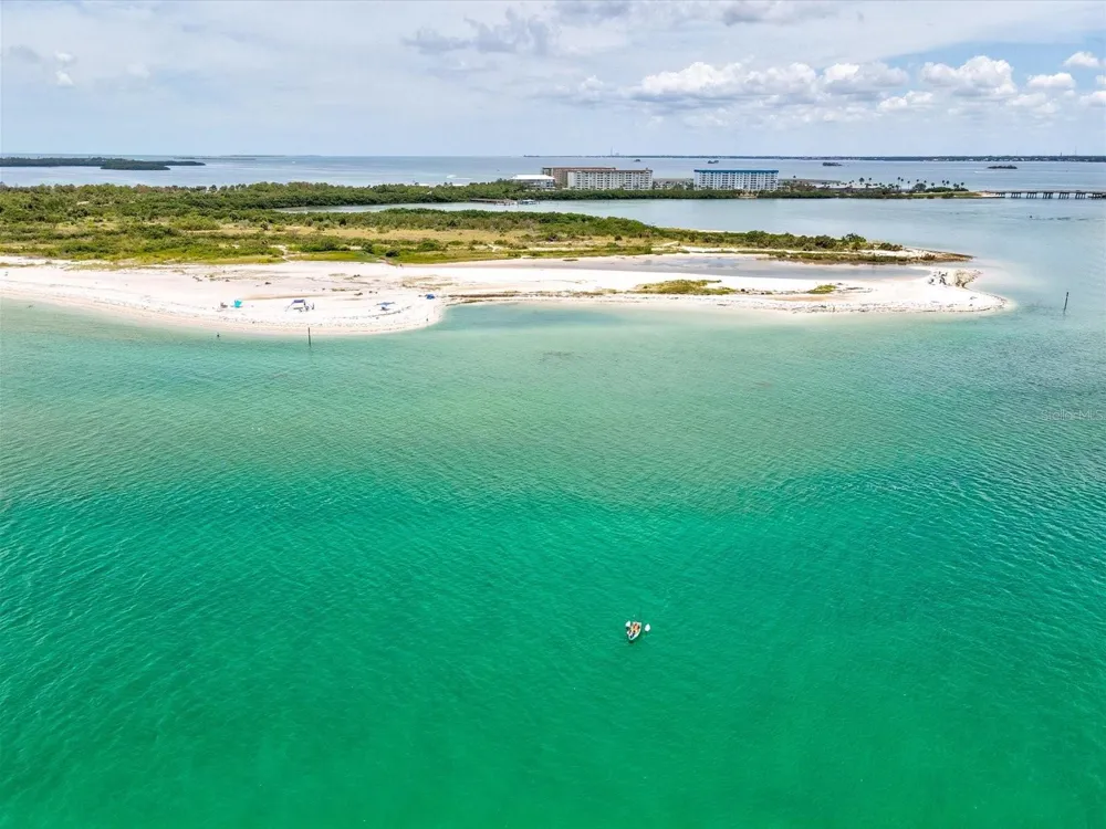 1690 PINEHURST ROAD Dunedin, FL 34698