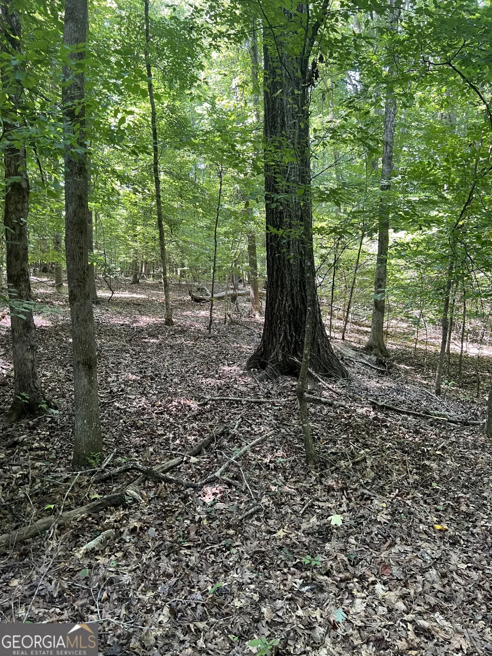 185 River Shoals CT Covington, GA 30016