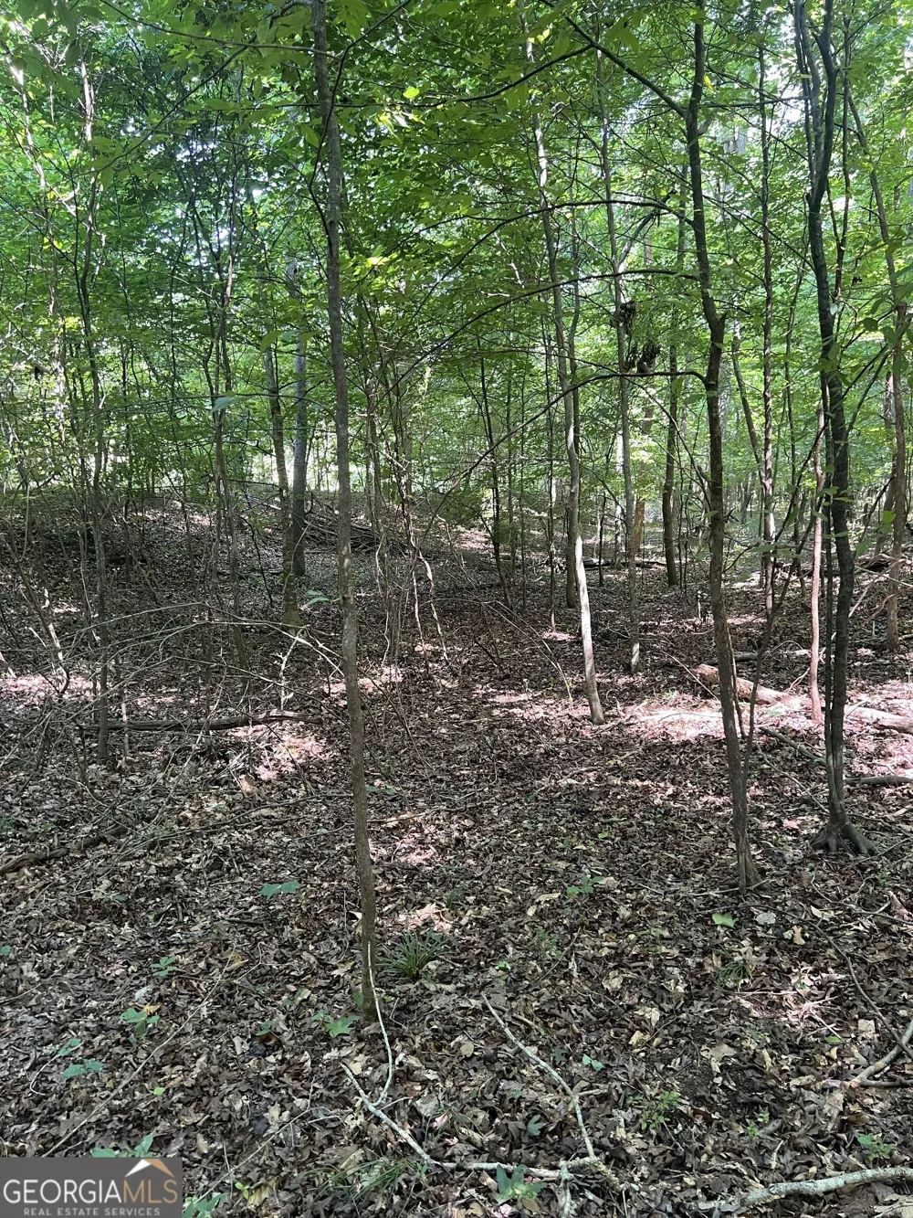 185 River Shoals CT Covington, GA 30016
