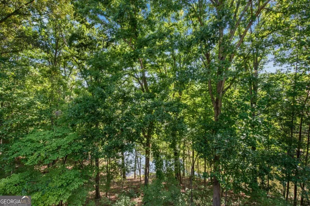 1300 Soap Creek RD Ball Ground, GA 30107