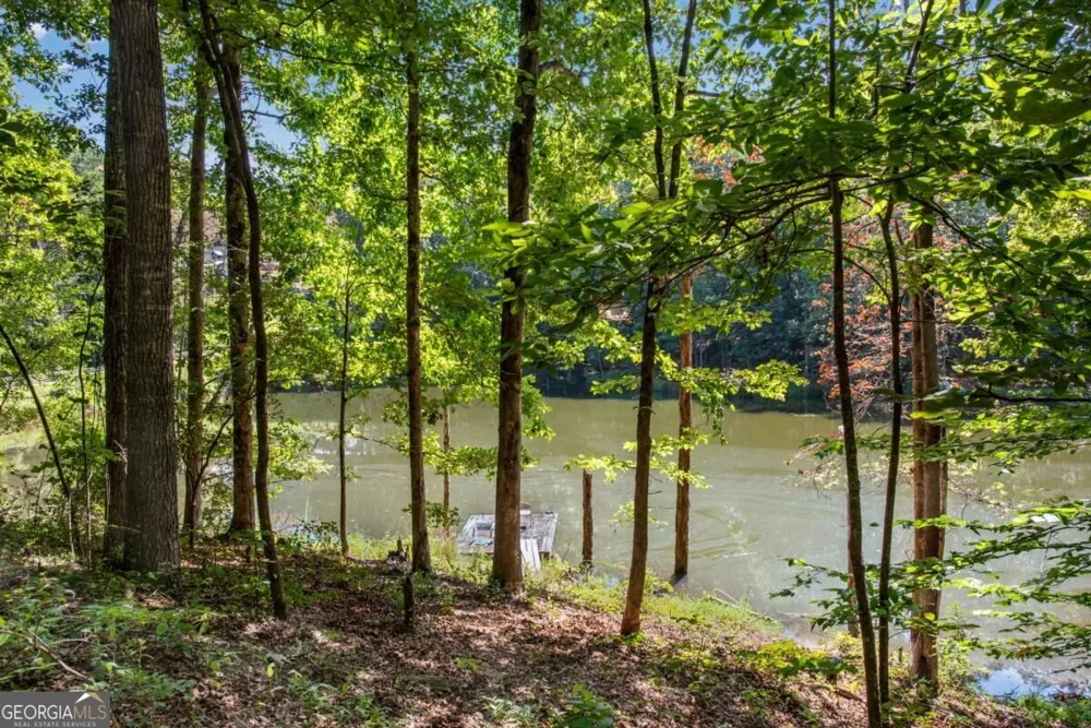 1300 Soap Creek RD Ball Ground, GA 30107