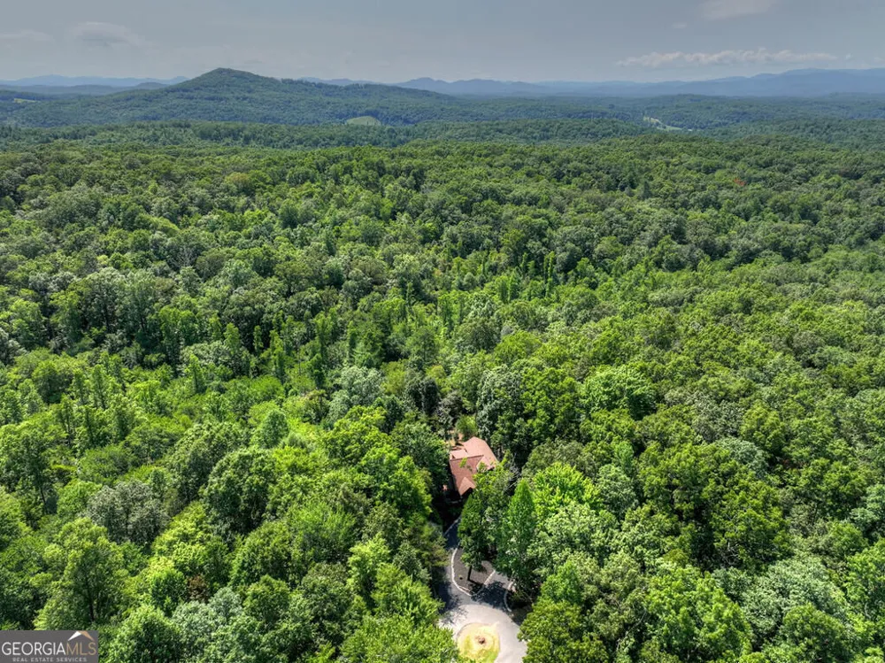 104 Gibbs TRL Mineral Bluff, GA 30559