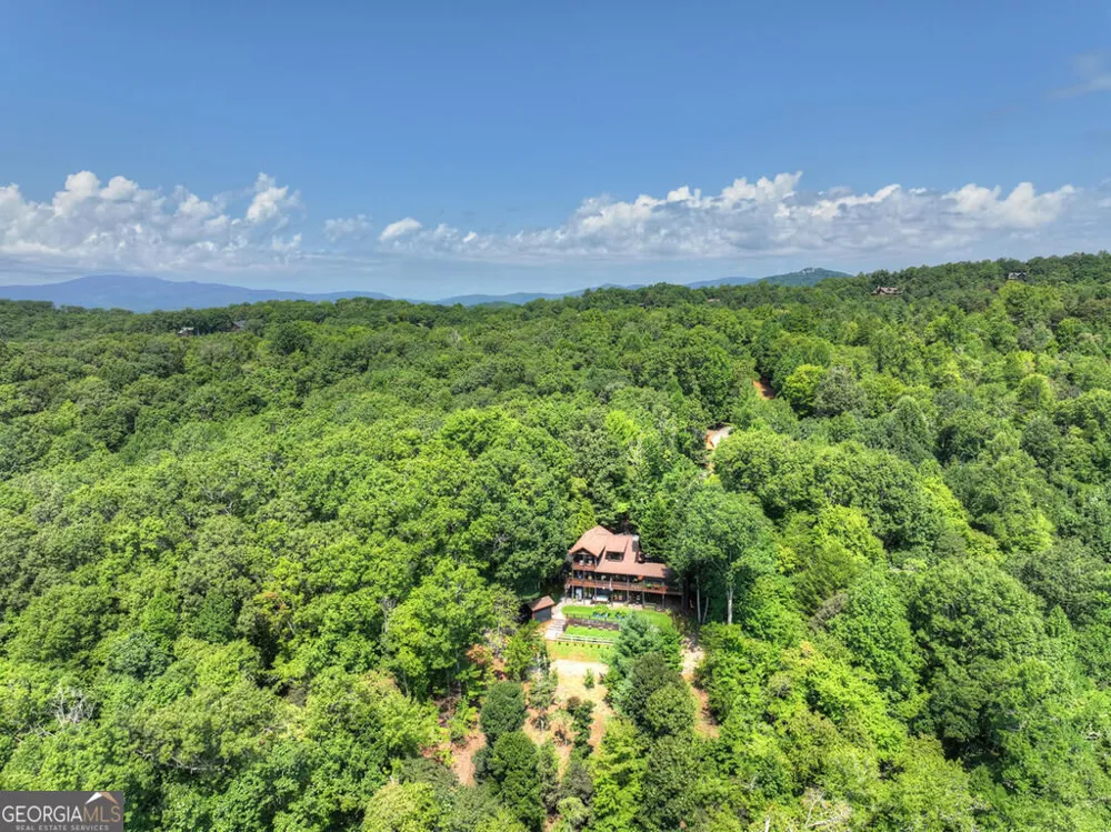 104 Gibbs TRL Mineral Bluff, GA 30559