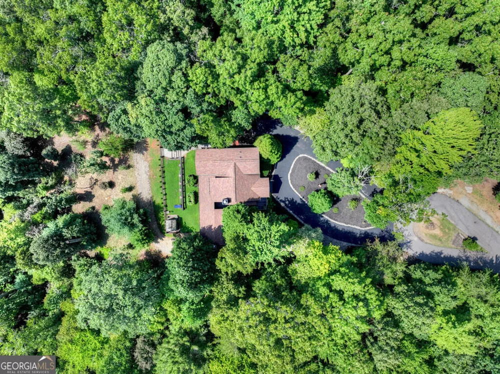 104 Gibbs TRL Mineral Bluff, GA 30559