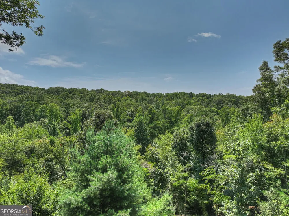 104 Gibbs TRL Mineral Bluff, GA 30559