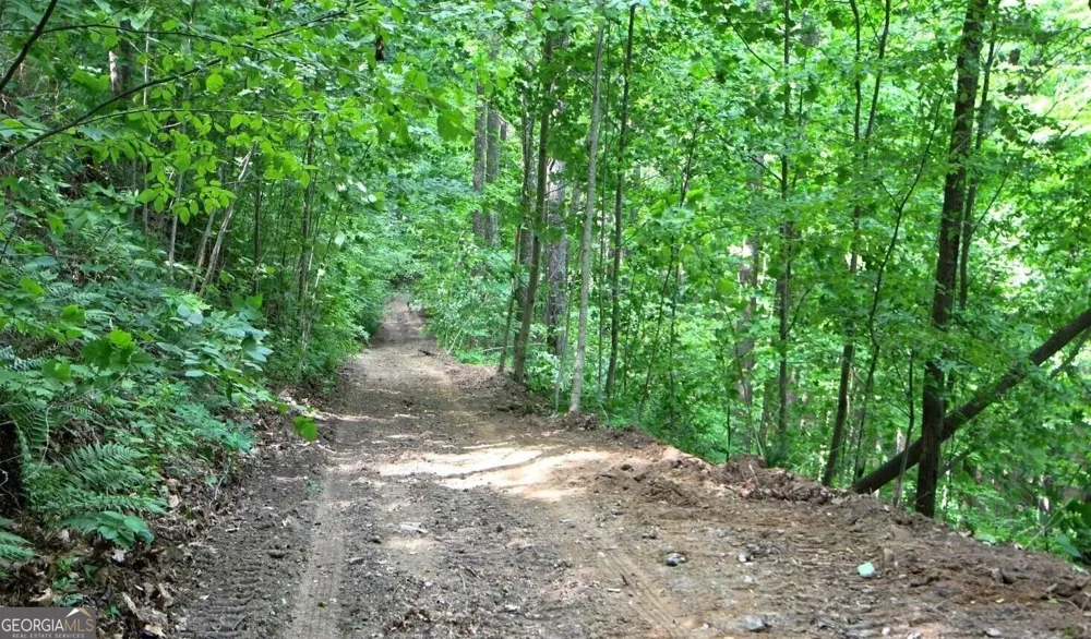 0 Fawn Ridge Rabun Gap, GA 30568
