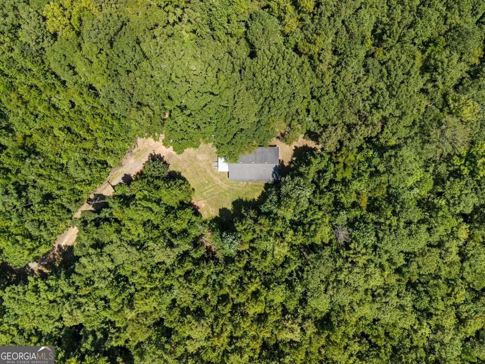 5301 Geneva HWY Talbotton, GA 31827