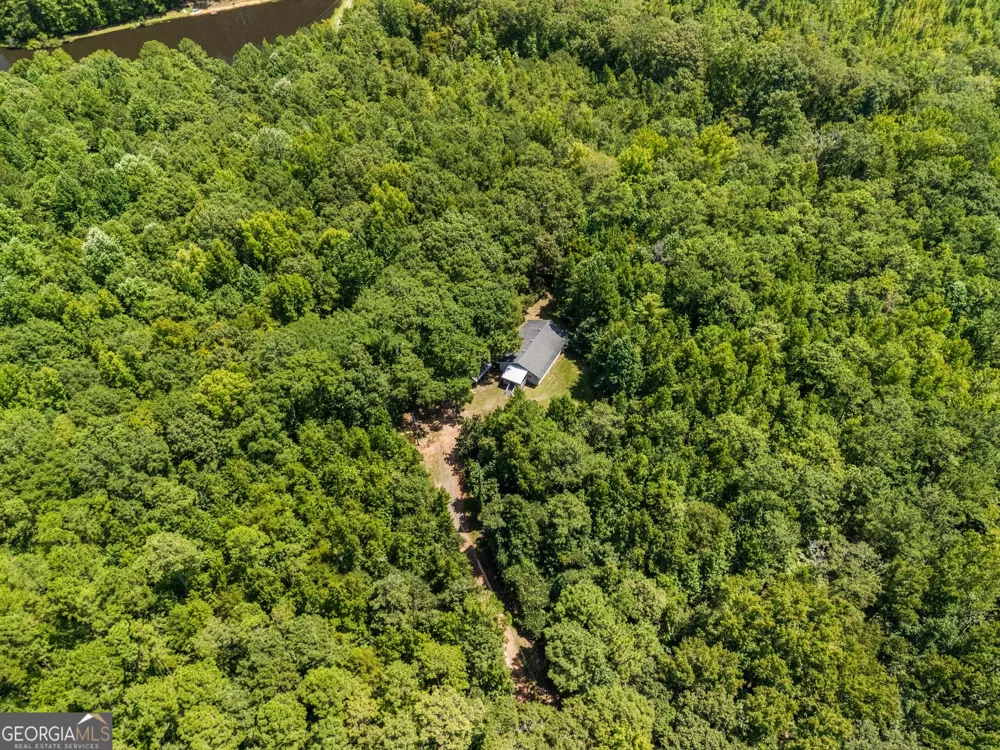 5301 Geneva HWY Talbotton, GA 31827
