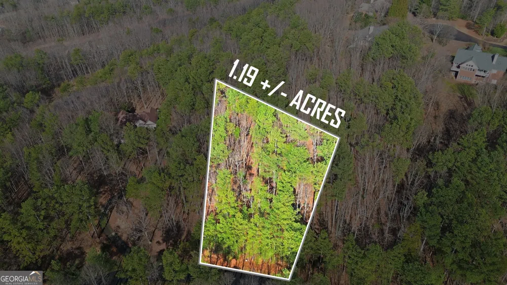 765 Plum LN Clarkesville, GA 30523