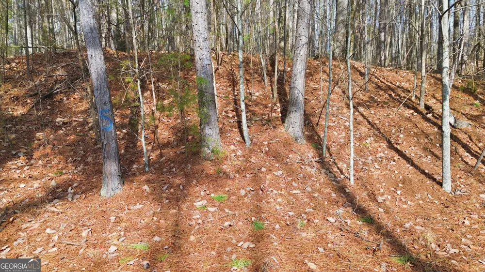 765 Plum LN Clarkesville, GA 30523