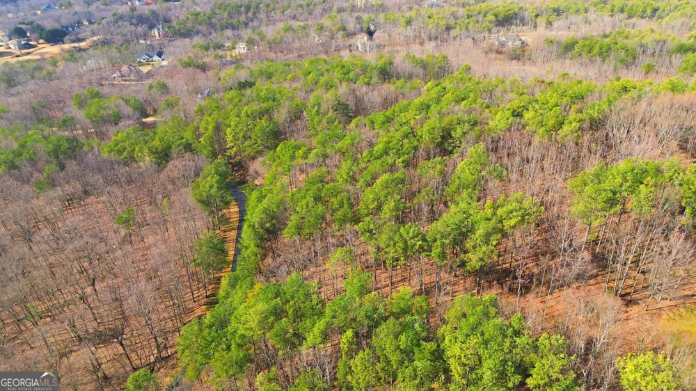 765 Plum LN Clarkesville, GA 30523