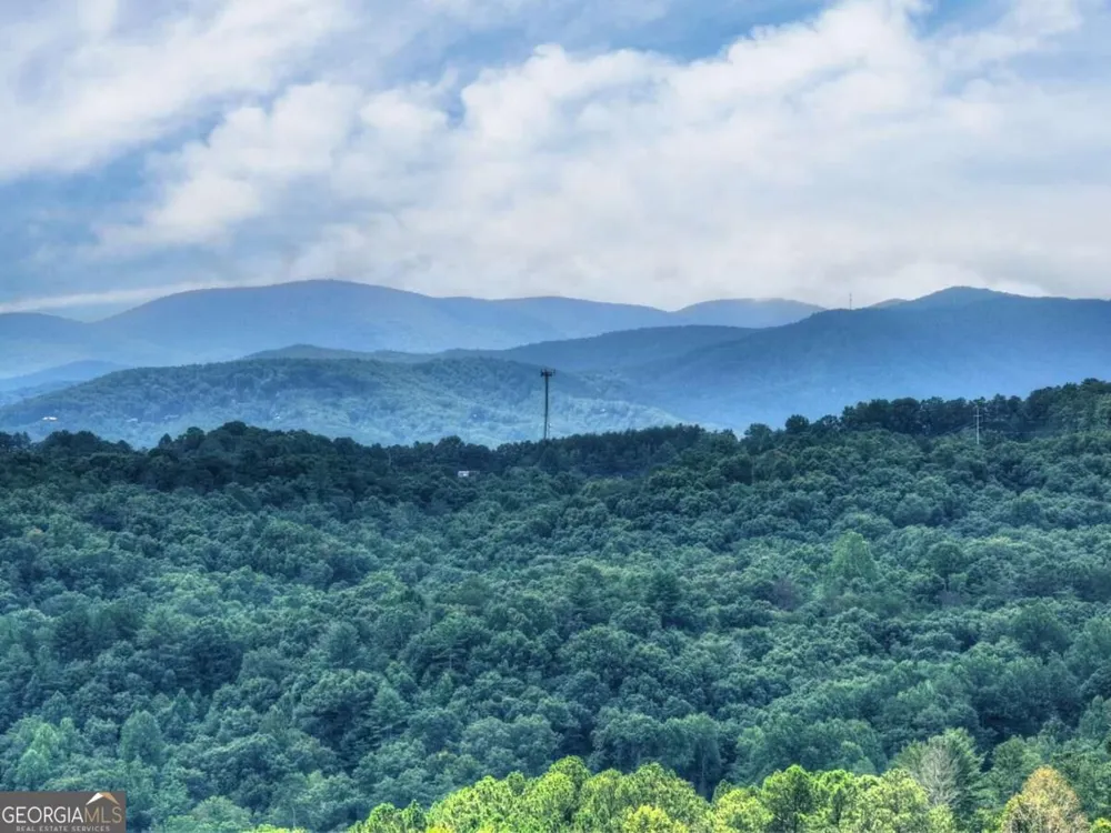 144 The Bluff Morganton, GA 30560