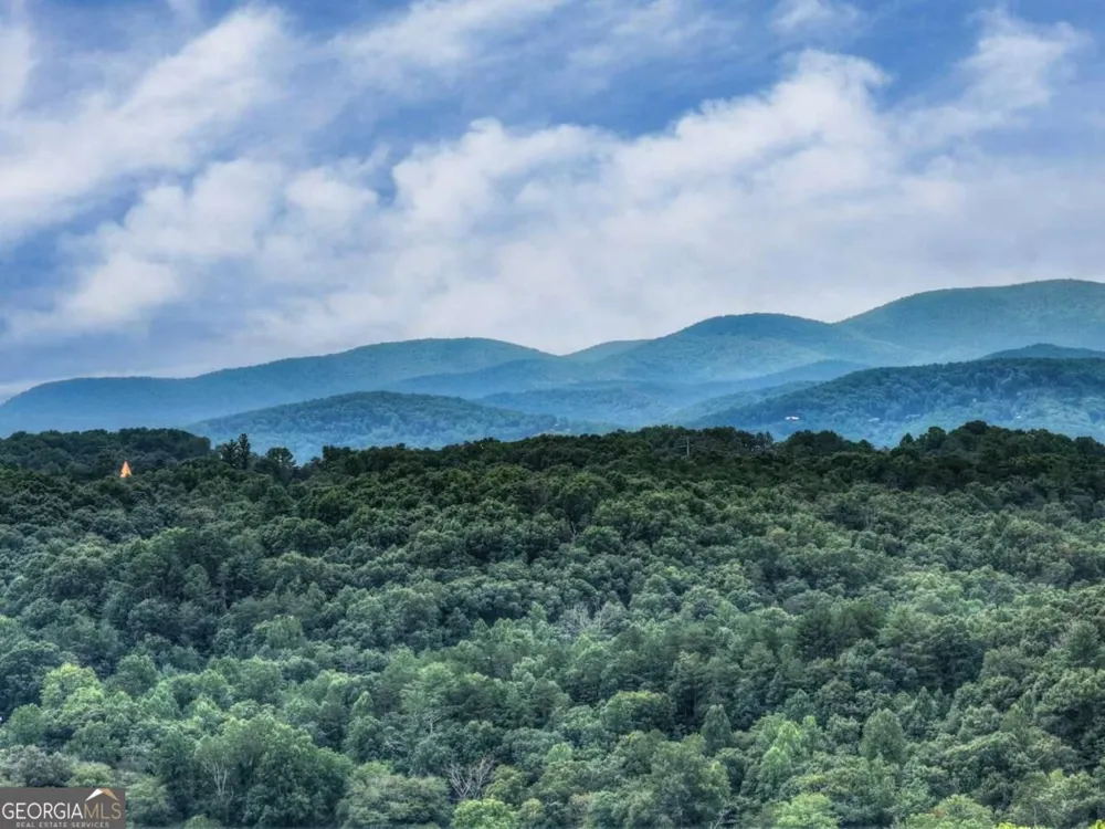 144 The Bluff Morganton, GA 30560
