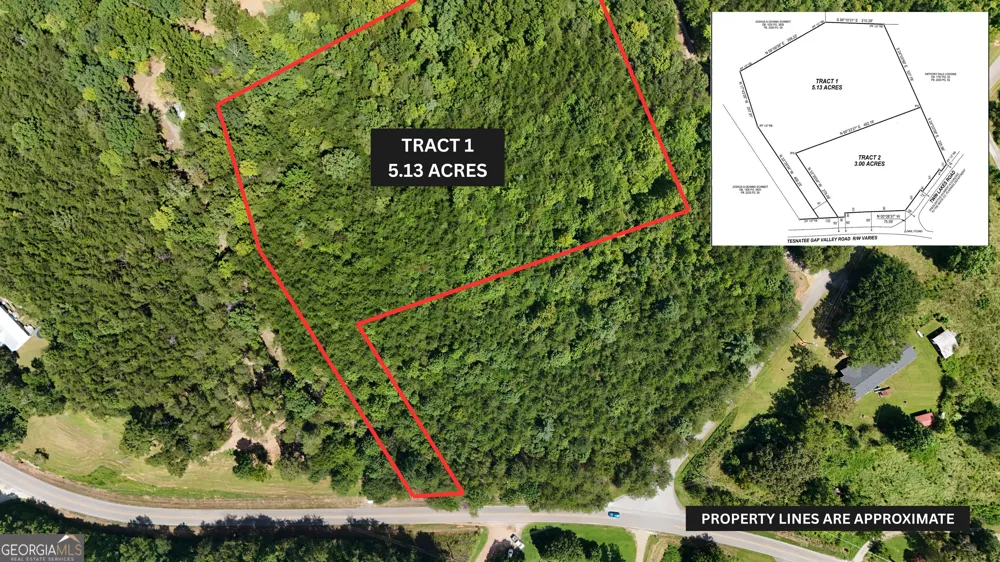 TRACT 1 Tesnatee Gap Valley RD Cleveland, GA 30528