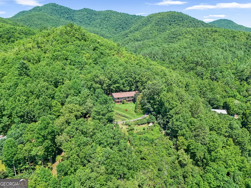 1135 Daves Creek RD Franklin, NC 28734