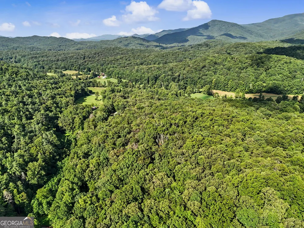 417 Kelly Mountain RD Clarkesville, GA 30523