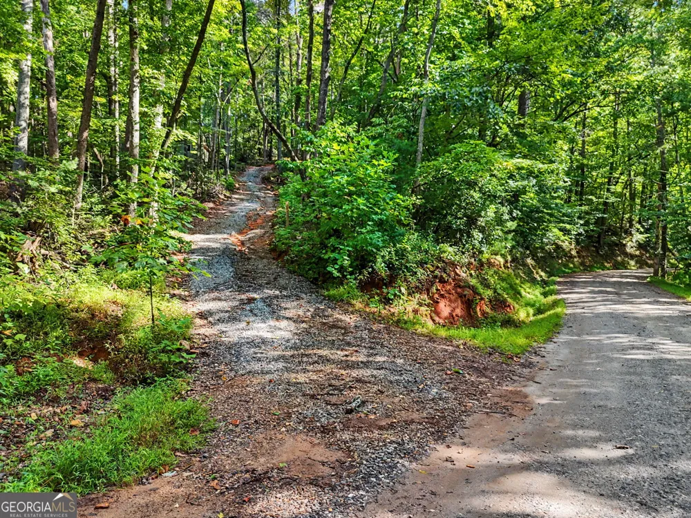 417 Kelly Mountain RD Clarkesville, GA 30523