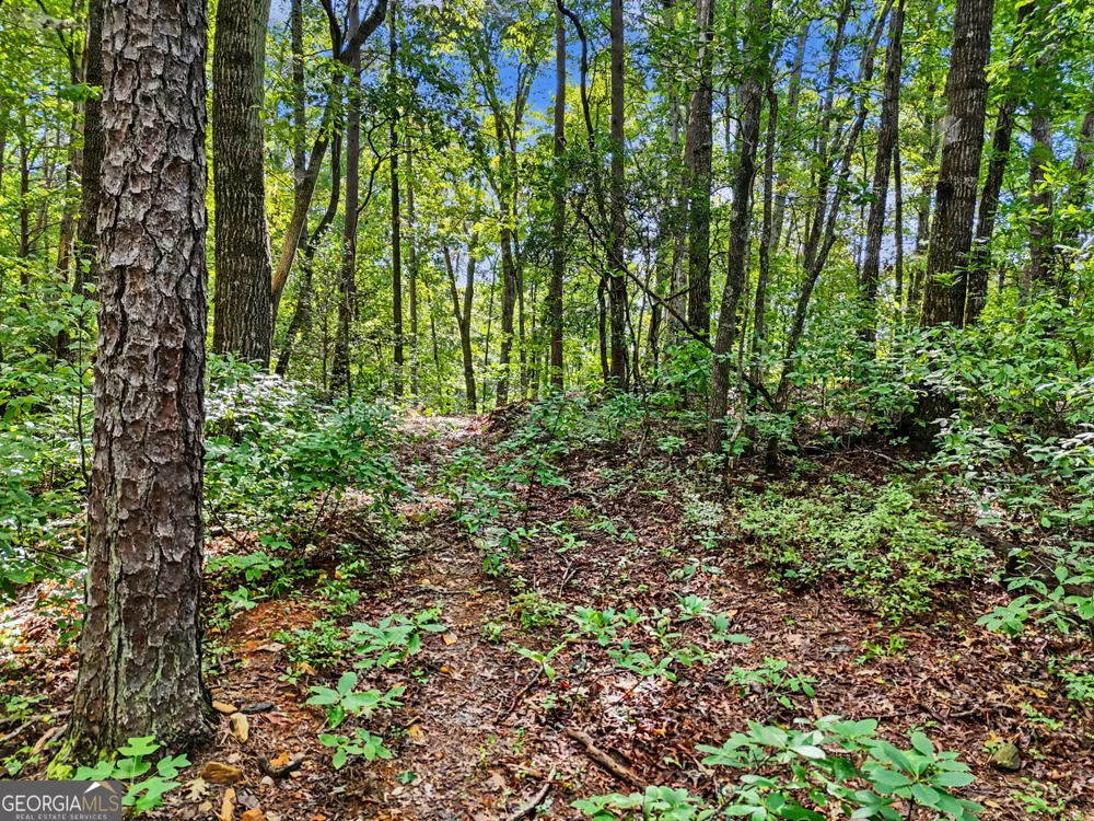 417 Kelly Mountain RD Clarkesville, GA 30523