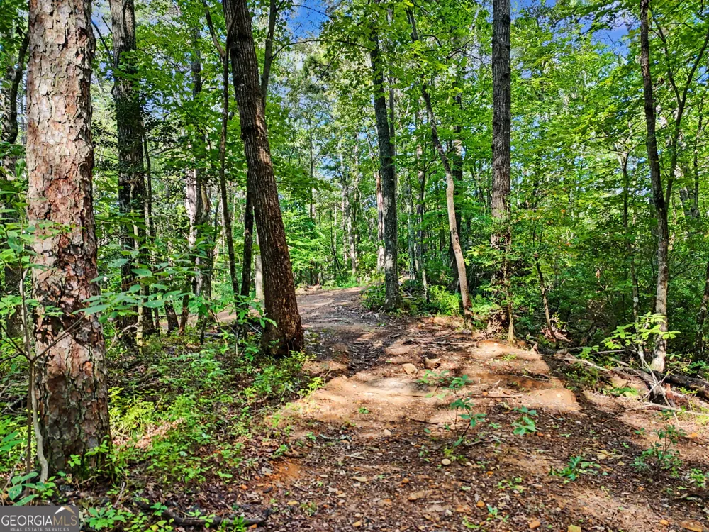 417 Kelly Mountain RD Clarkesville, GA 30523