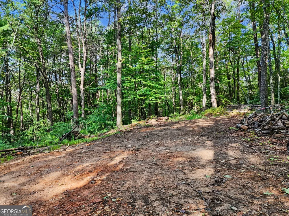 417 Kelly Mountain RD Clarkesville, GA 30523