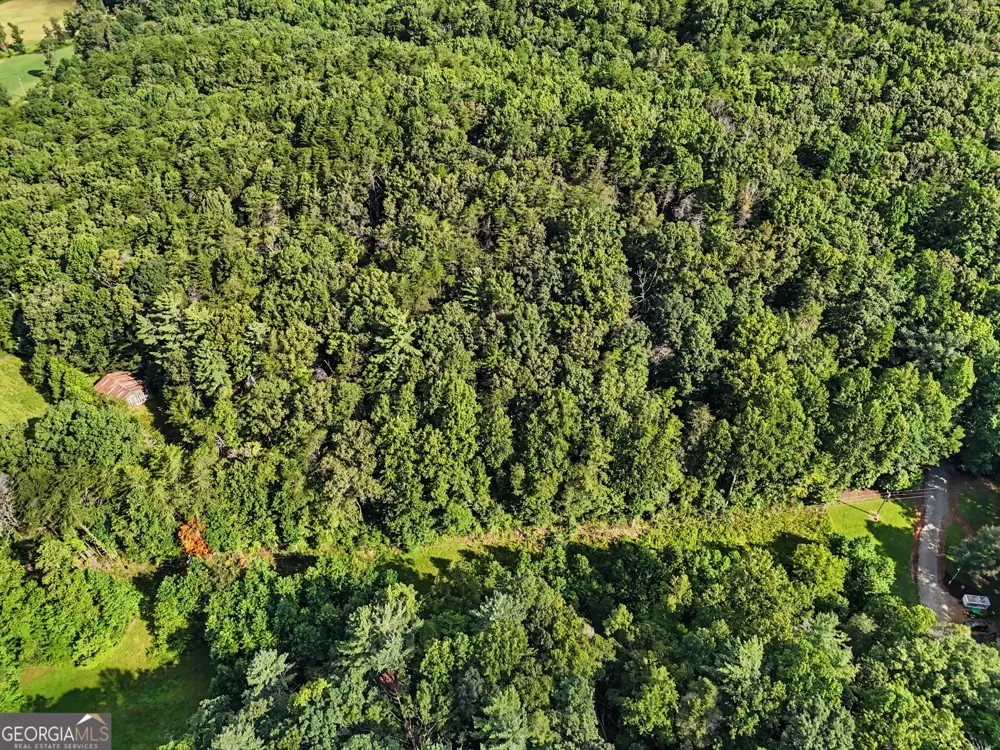 417 Kelly Mountain RD Clarkesville, GA 30523