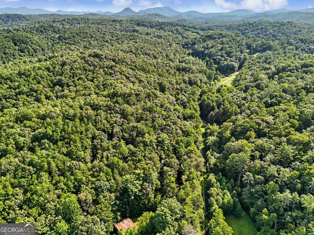 417 Kelly Mountain RD Clarkesville, GA 30523