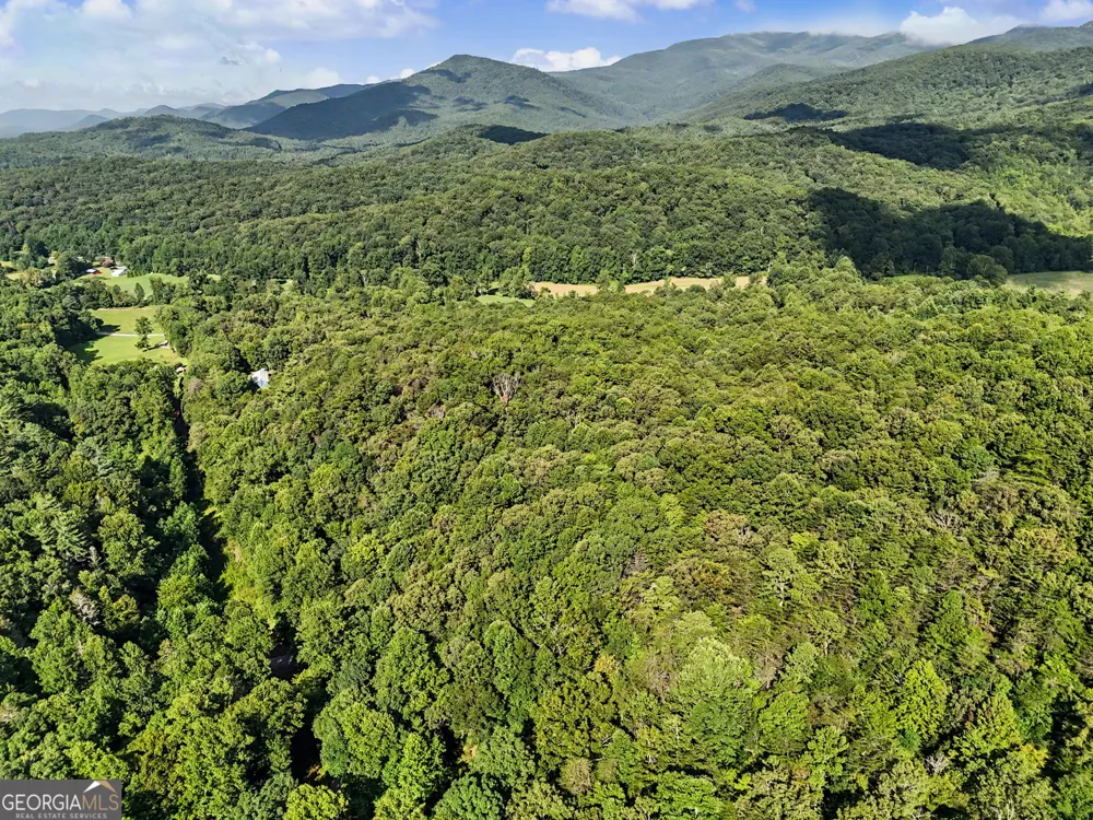 417 Kelly Mountain RD Clarkesville, GA 30523
